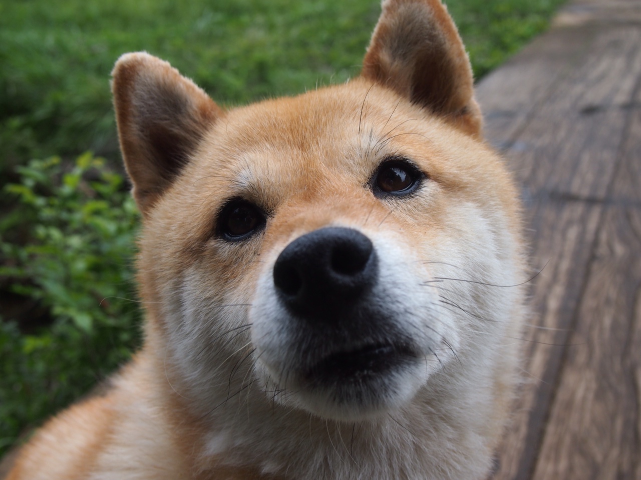 东决夜，独行者，当米切尔撕碎所有质疑