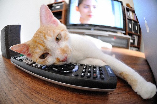 劈开坚冰，乔治的救赎之战如何重塑湖人命运