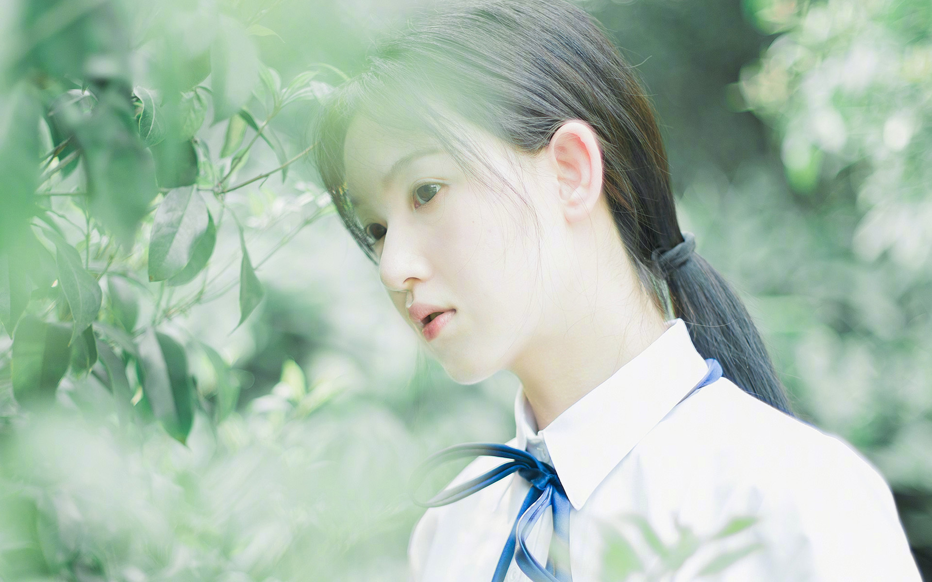 球场预言，凯尔特人的世界杯式胜利，奇才成背景板