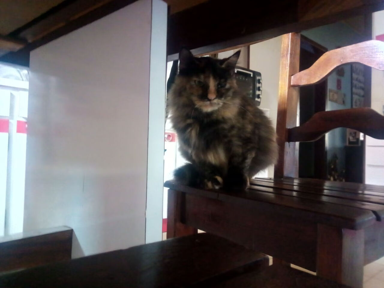 踢碎边界的传奇，足球巨星黄喜灿的NBA总决赛统治夜