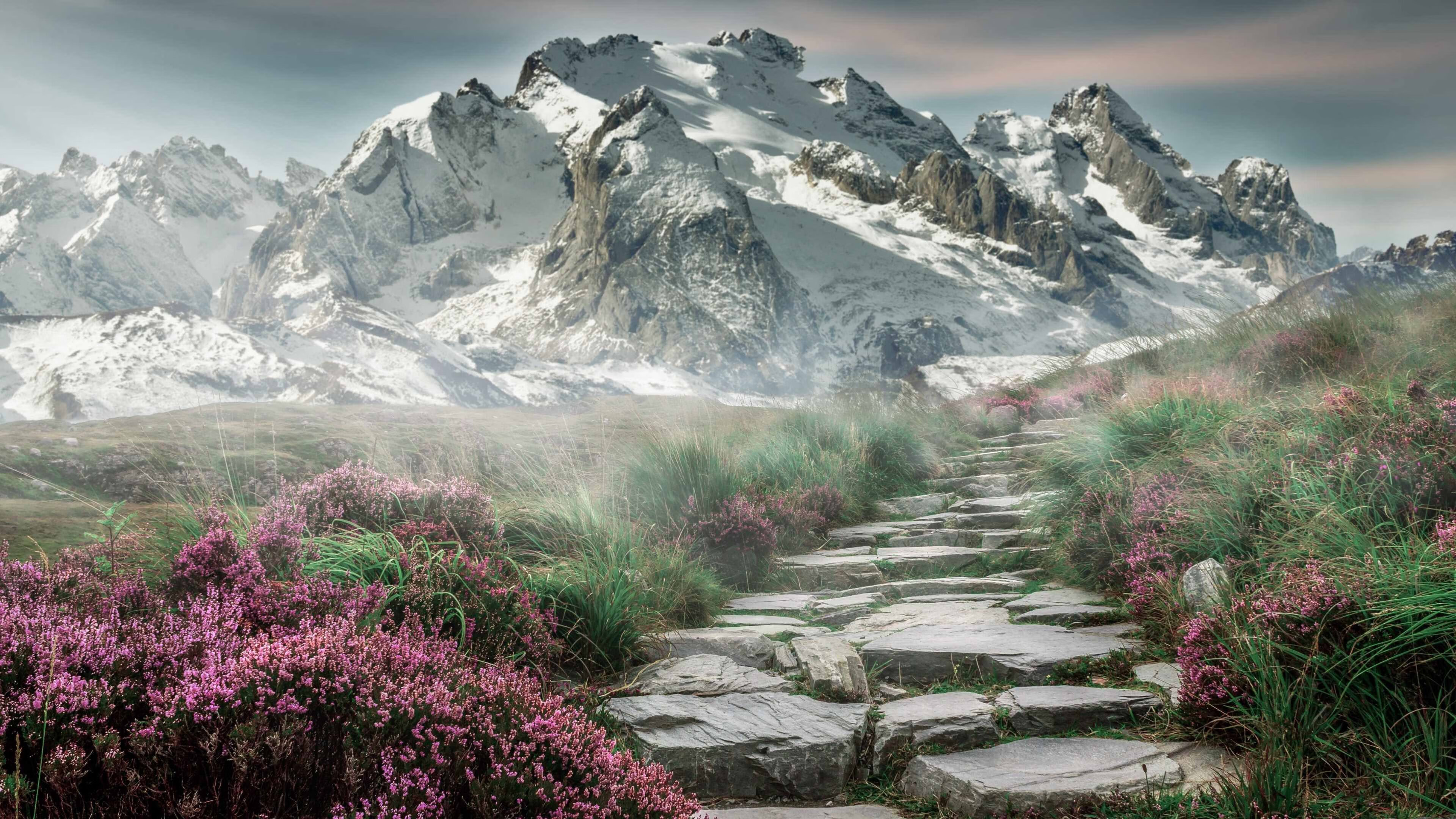 极速启动与历史性突破，新赛季的体育交响曲