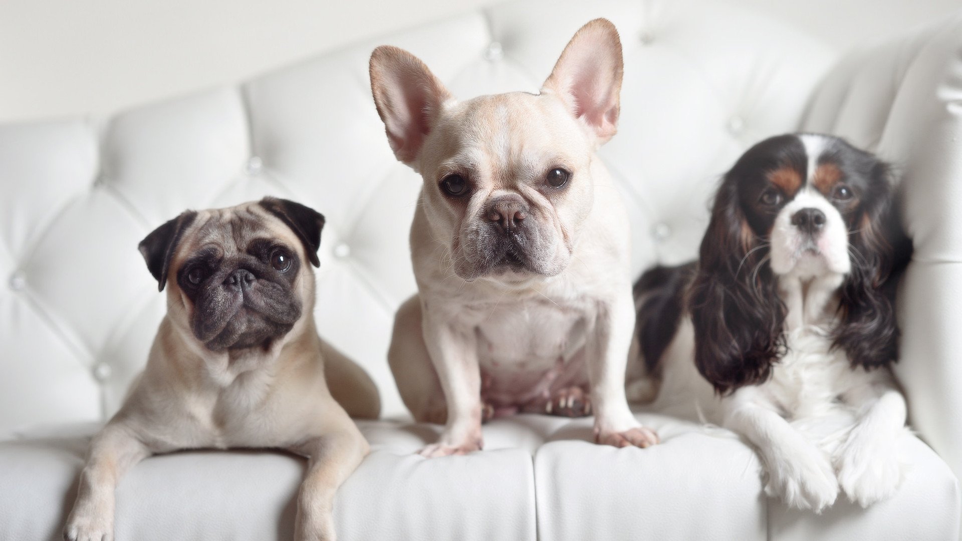 风暴降生，贝恩单节19分奇迹之夜，黄蜂击碎广厦的赛点之梦