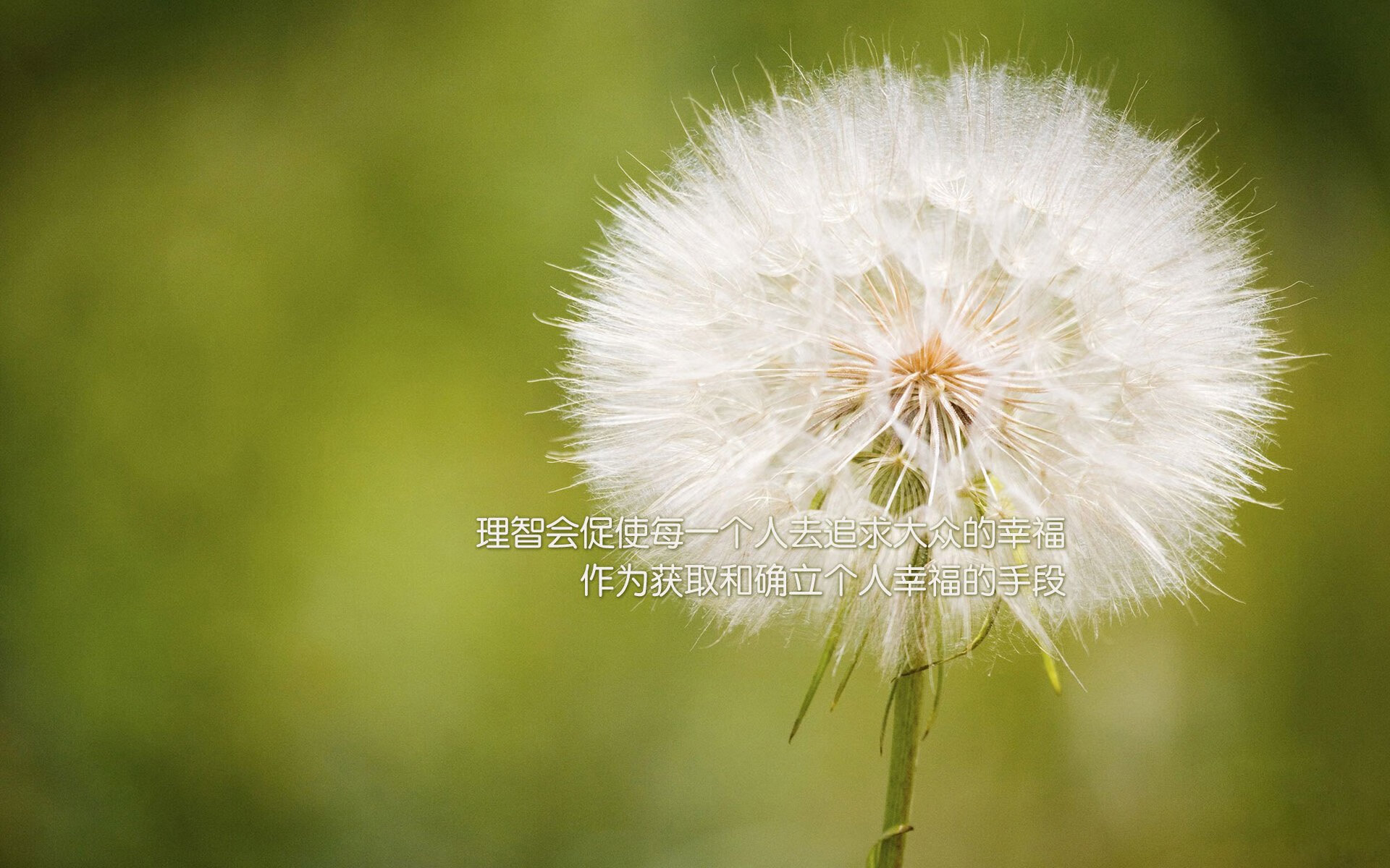七海之盾与双牙塔的博弈,当库尔图瓦的时间褶皱锁死斯洛伐克,阿联酋用控球重绘世界杯版图