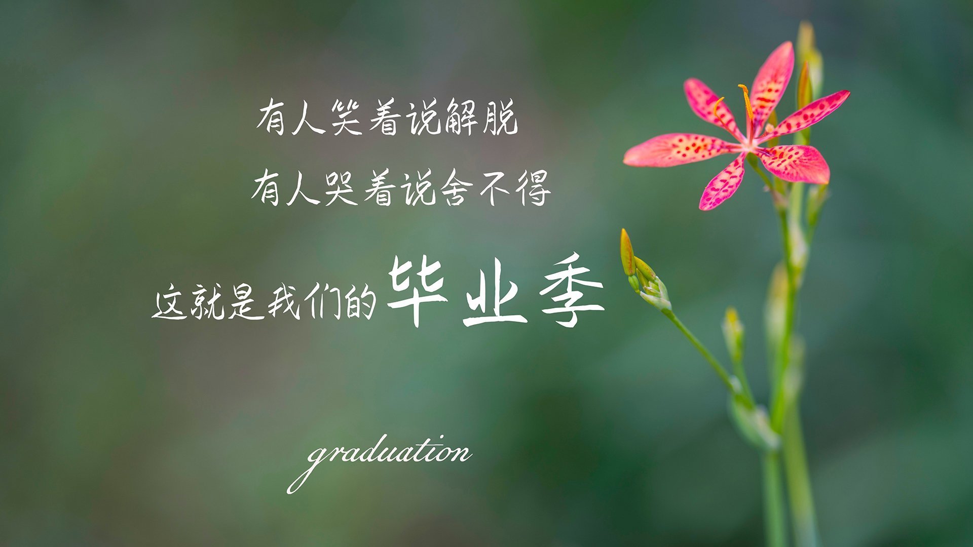 梅西的隐形球衣,2026世界杯B组,泰国VS阿联酋背后的神之一手